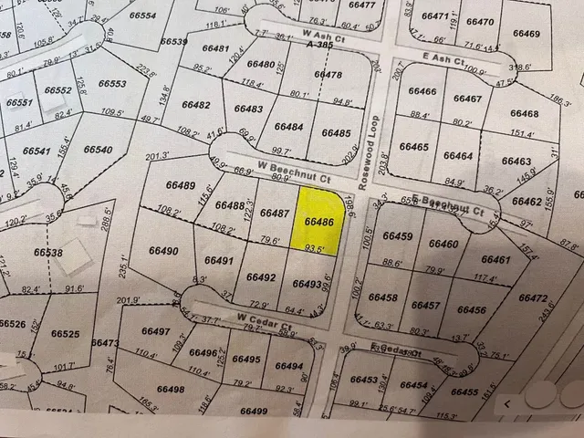 $12,500 | 0 Beechnut, Oakhurst, TX 77359