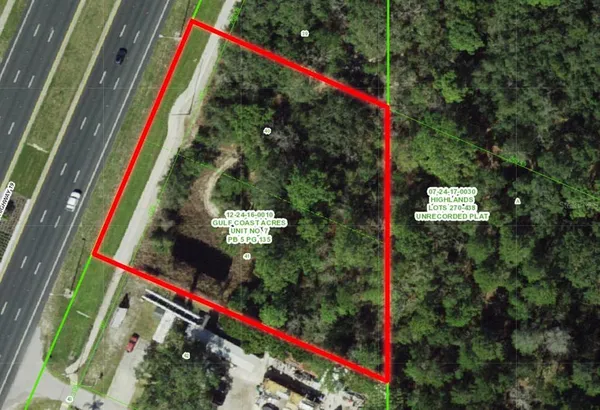 a view of a yard with plants and a trees