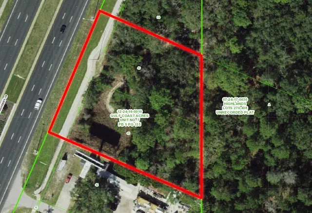 a view of a yard with plants and a trees