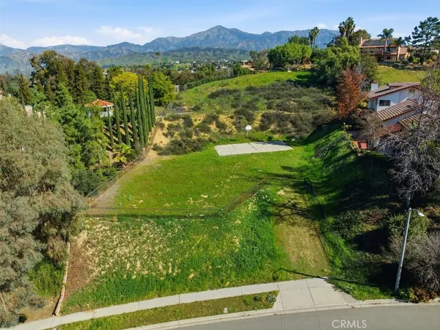 a view of a garden with a lake