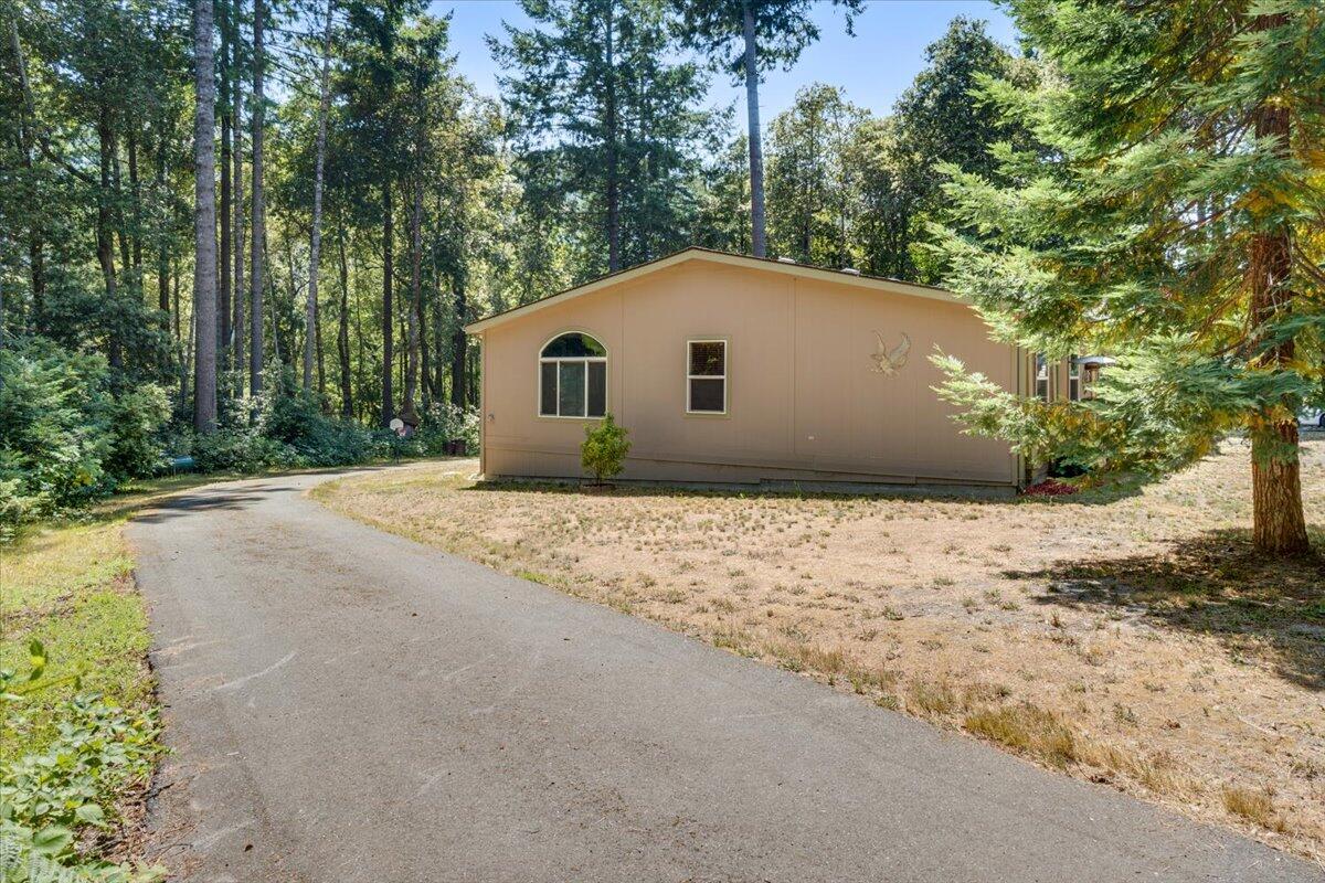 210 Bar W Ranch Road Carlotta, CA 95528 - Photo 3 of 50 Gallery Image 3
