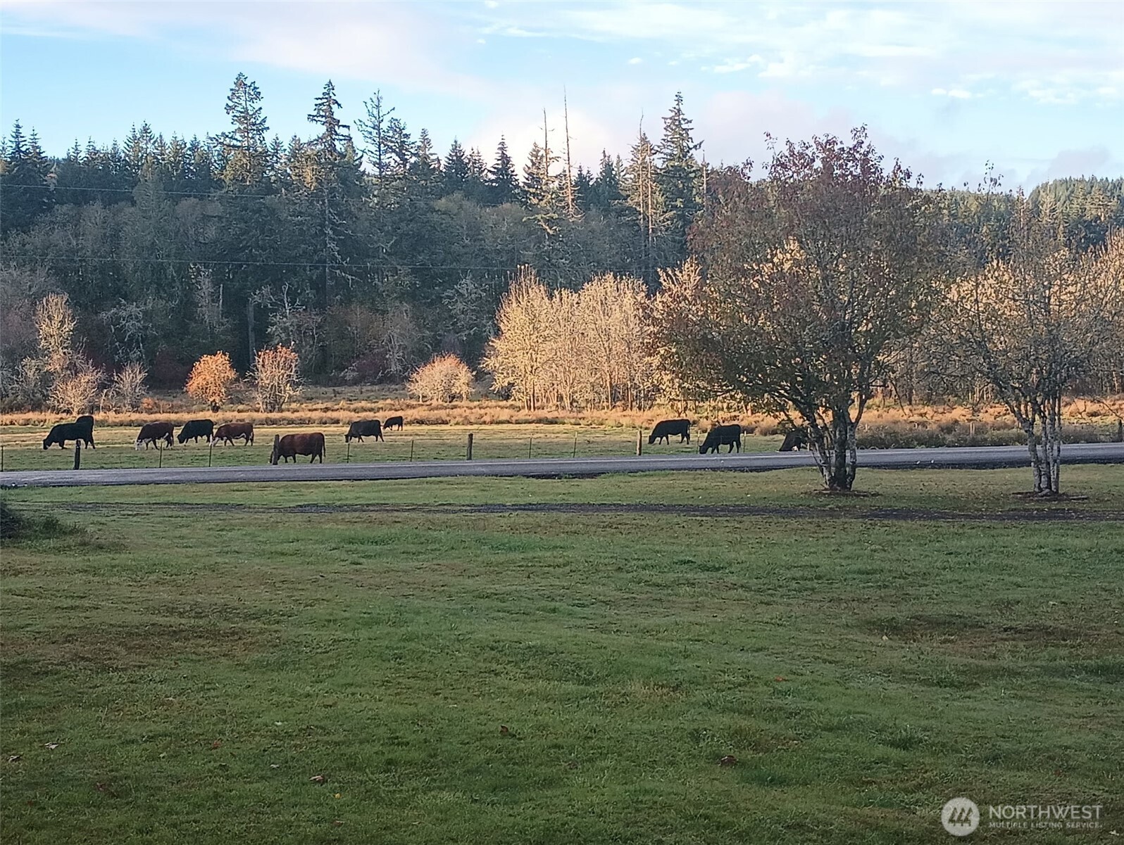 397 Bunker And 0 Bunker Road Chehalis, WA 98532 - Photo 11 of 20