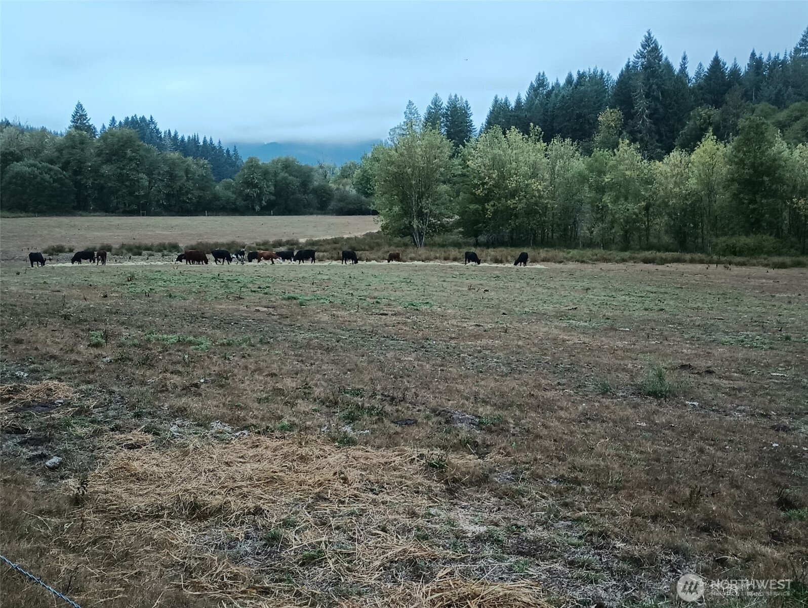 397 Bunker And 0 Bunker Road Chehalis, WA 98532 - Photo 12 of 20 a view of a field with trees in the background