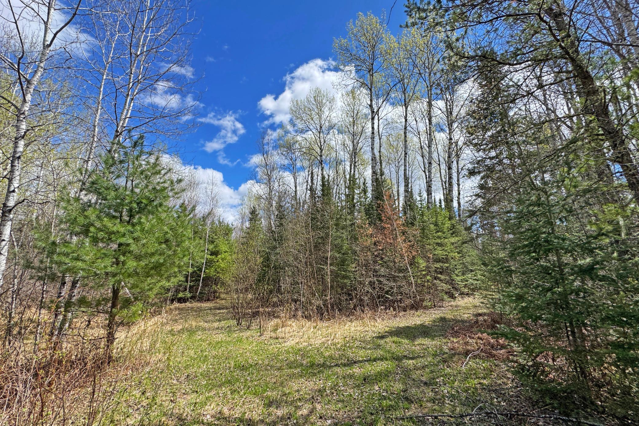 4268 Crane Lake Road Orr, MN 55771 - Photo 16 of 25