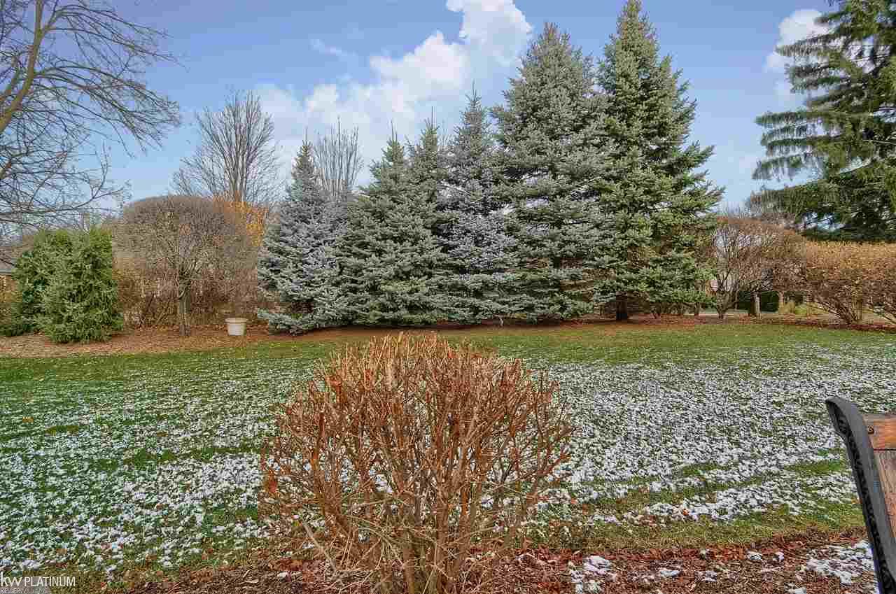 1646 Sumac Drive Rochester Hills, MI 48309 - Photo 37 of 37