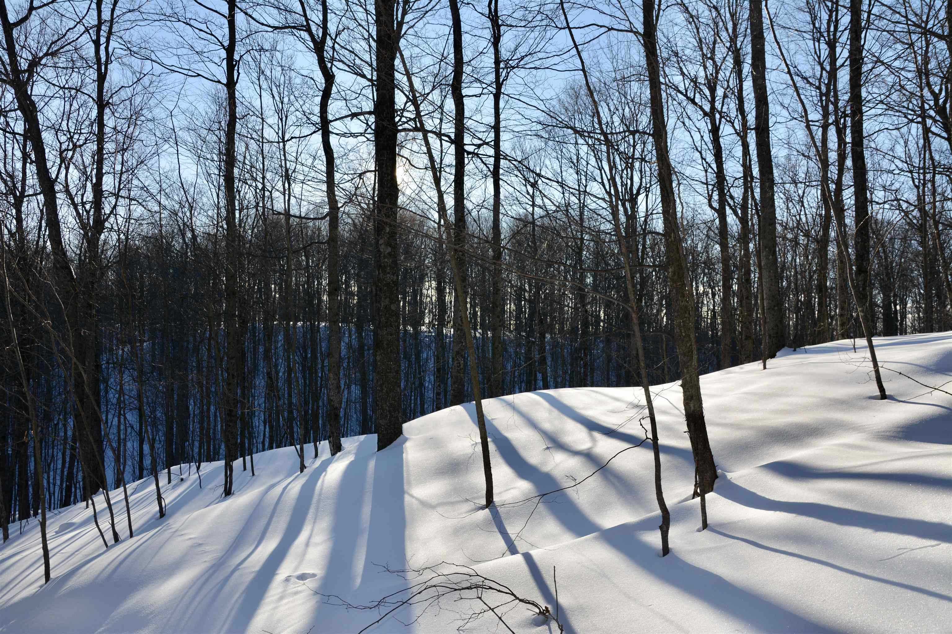 0 South Schomberg Road Cedar, MI 49621 - Photo 44 of 70