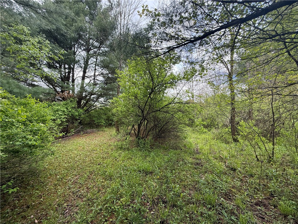Caswell Road Freeville, NY 13068 - Photo 9 of 47