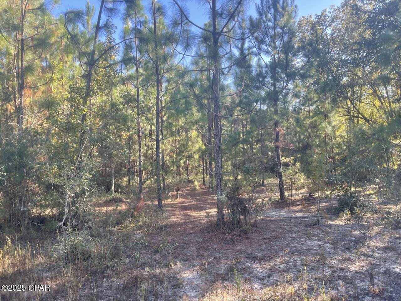 0 Arrant Road Westville, FL 32464 - Photo 18 of 28