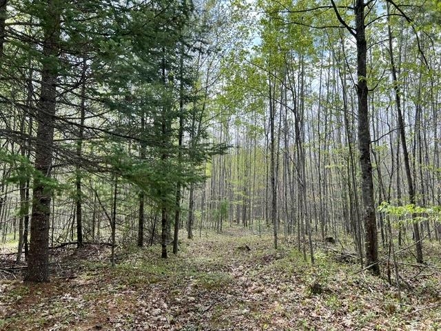 W8001 East Cataline Road Pembine, WI 54156 - Photo 24 of 27