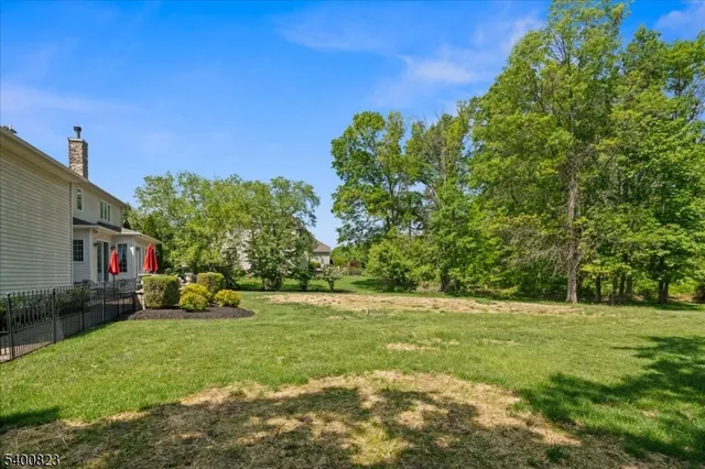 a view of yard with green space
