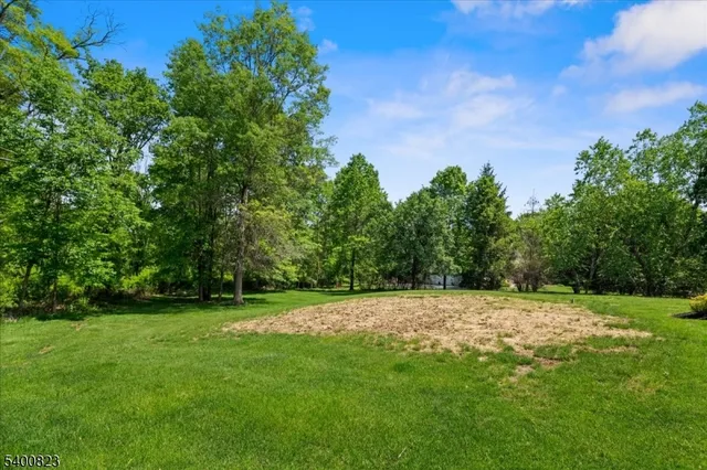 a view of a grassy field with trees in the background
