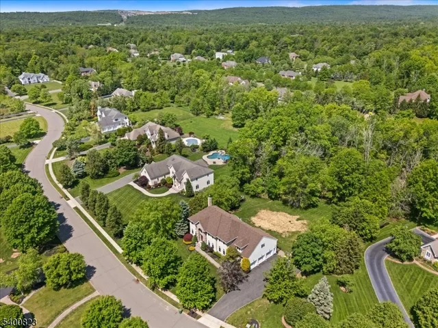 an aerial view of residential houses with outdoor space and trees