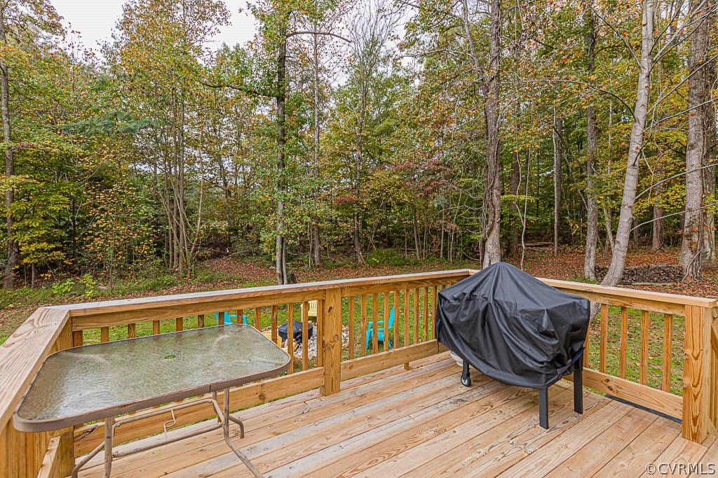 5461 Broad St Road Louisa, VA 23093 - Photo 13 of 43