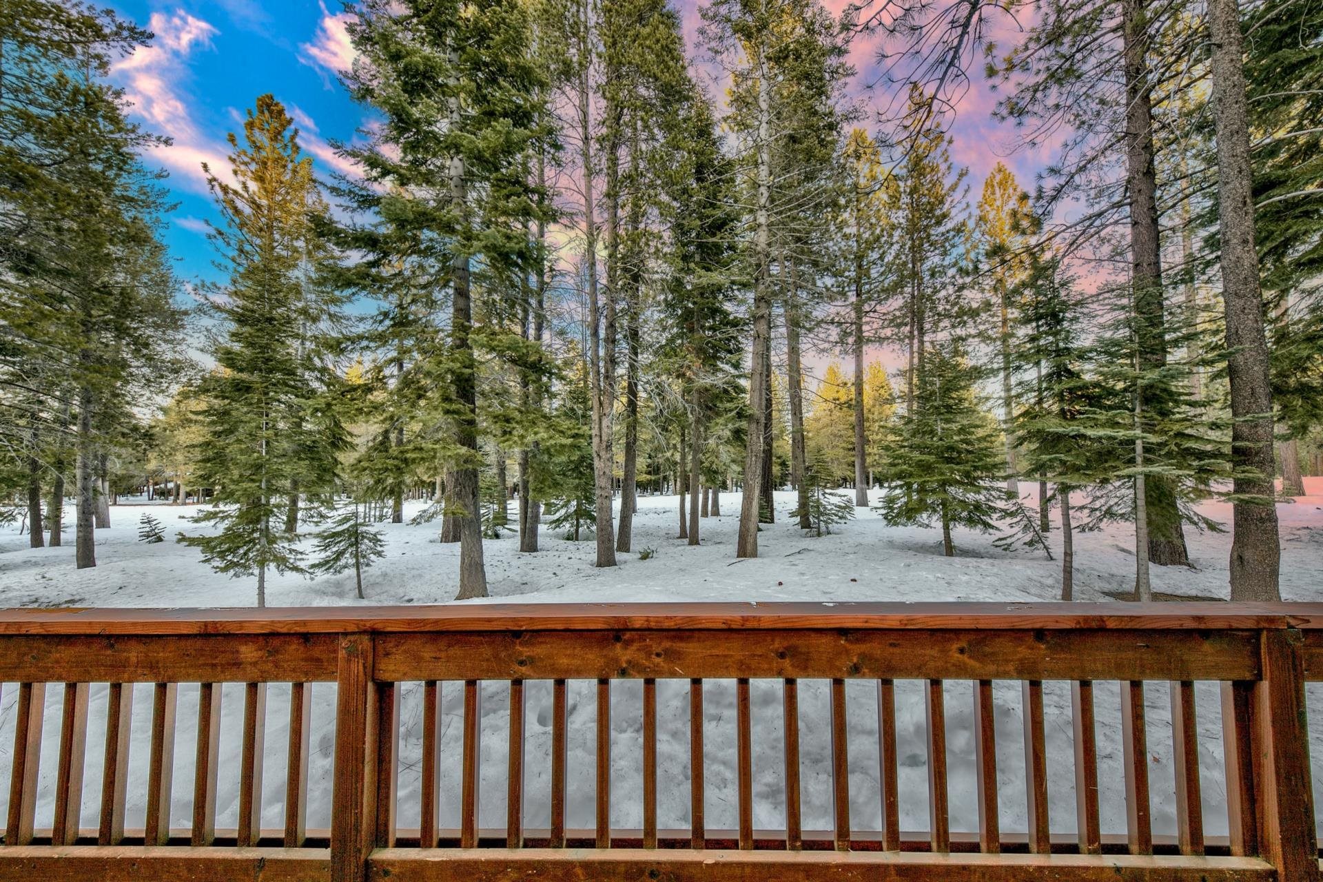 13970 Ski View Loop Truckee, CA 96161 - Photo 3 of 21 a view of a yard with a tree