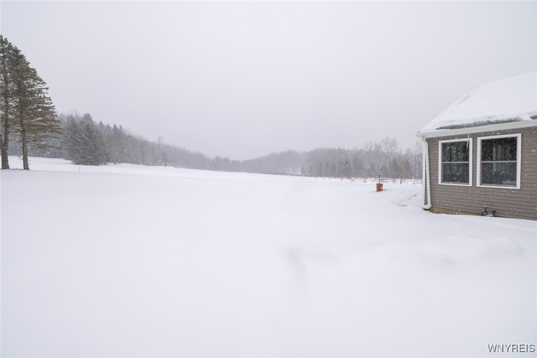 4780 Enser Road Boston, NY 14057 - Photo 11 of 41