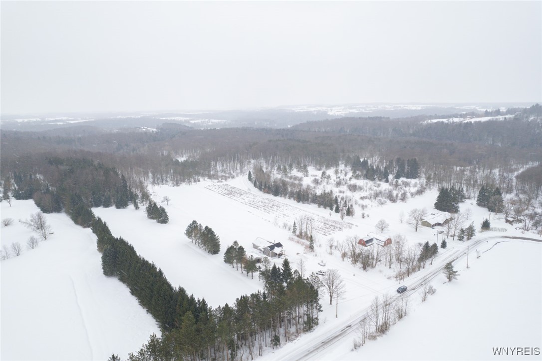 4780 Enser Road Boston, NY 14057 - Photo 5 of 41