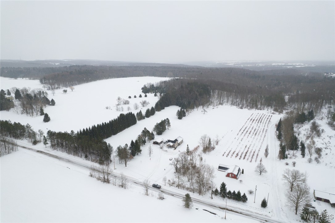 4780 Enser Road Boston, NY 14057 - Photo 6 of 41