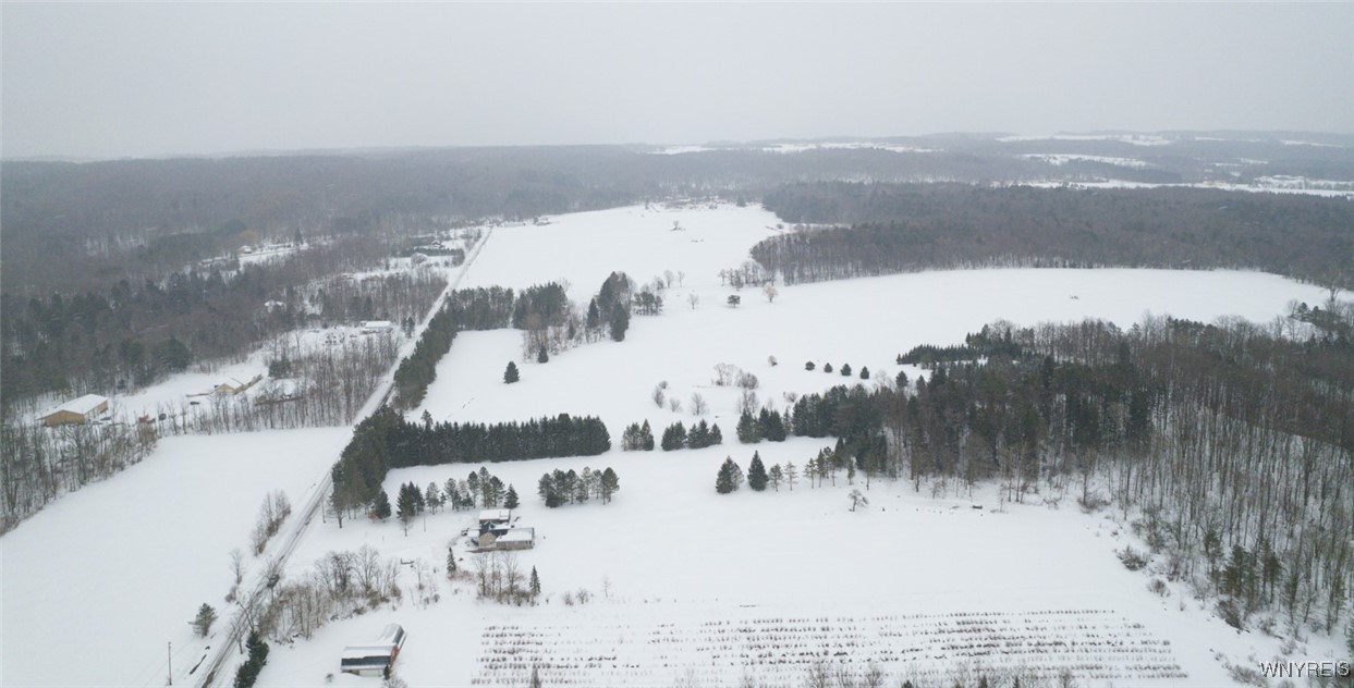 4780 Enser Road Boston, NY 14057 - Photo 7 of 41