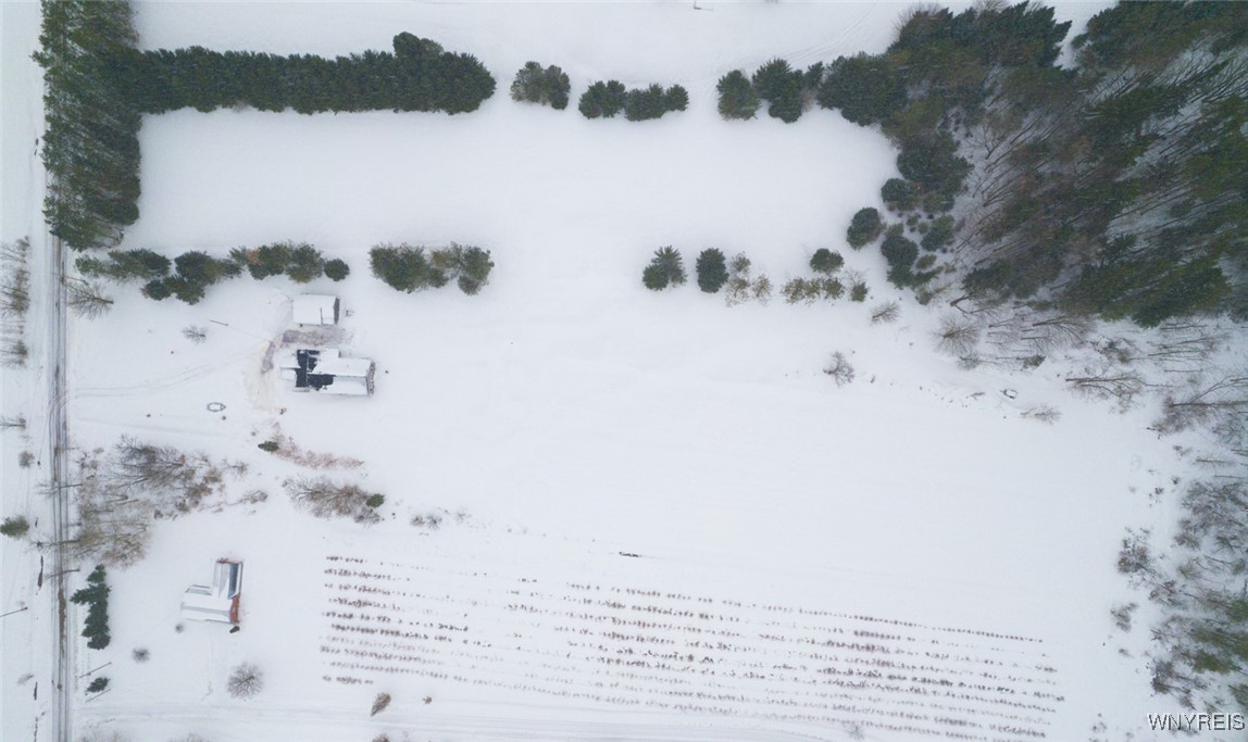 4780 Enser Road Boston, NY 14057 - Photo 8 of 41