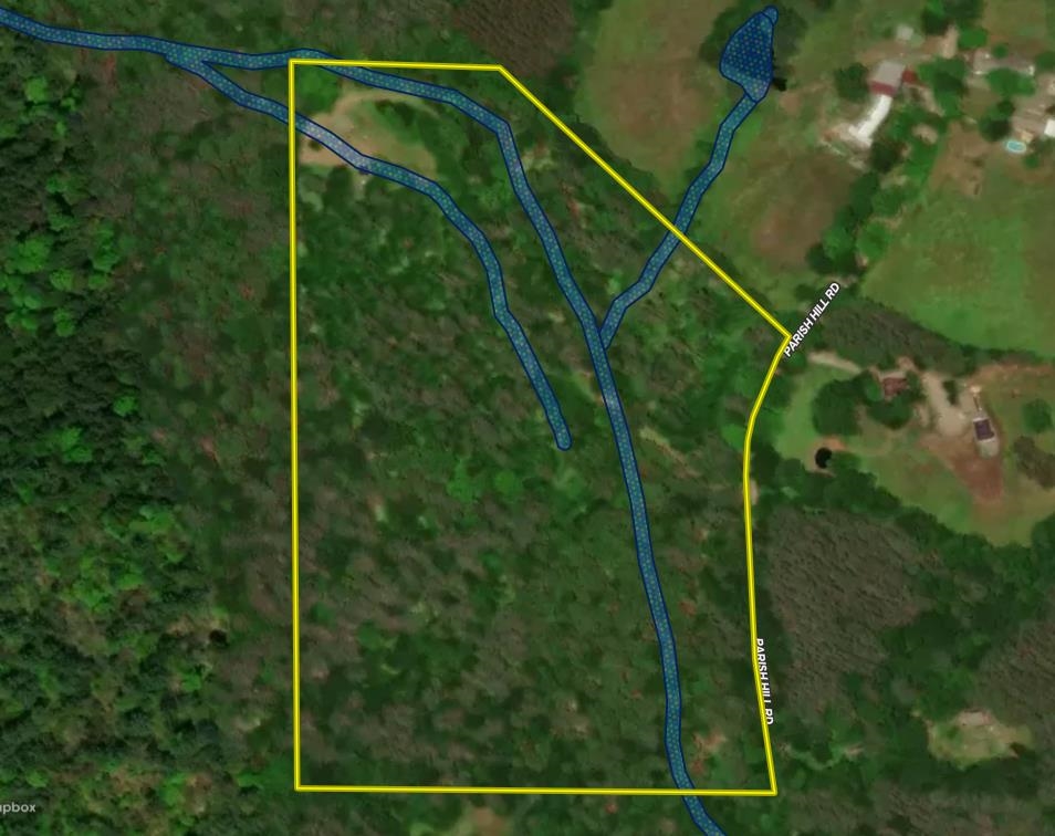 81 Parish Hill Road Newfane, VT 05351 - Photo 53 of 59