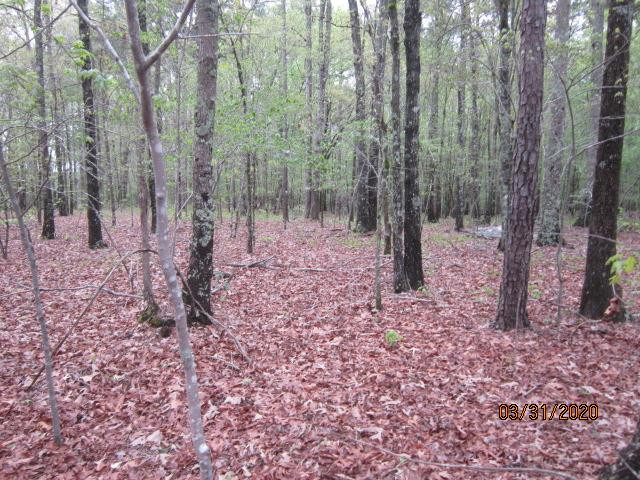 0 Greensboro Road Washington, GA 30673 - Photo 1 of 8 Main View