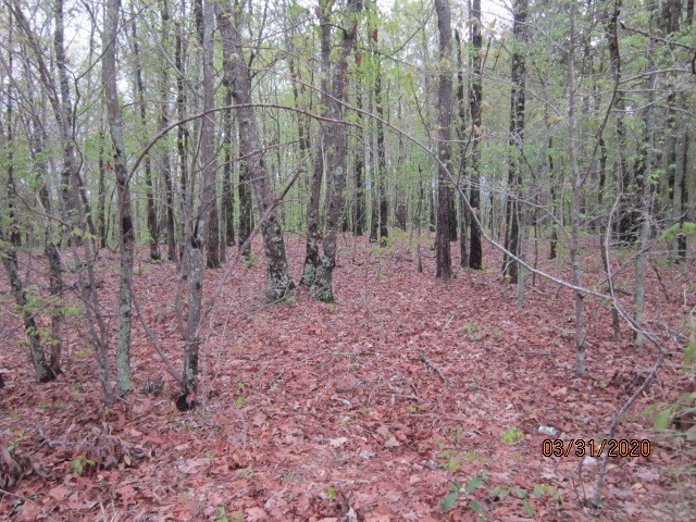 0 Greensboro Road Washington, GA 30673 - Photo 2 of 8