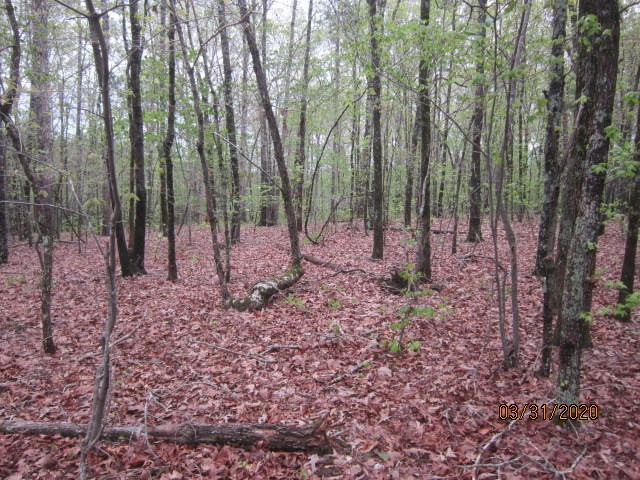 0 Greensboro Road Washington, GA 30673 - Photo 3 of 8