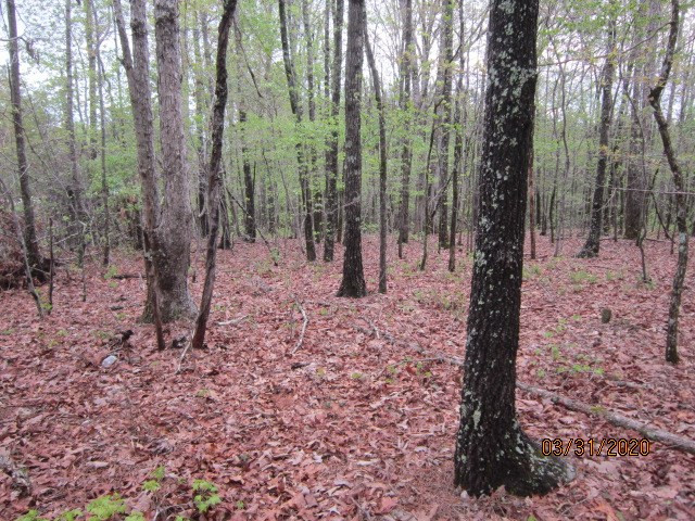 0 Greensboro Road Washington, GA 30673 - Photo 4 of 8