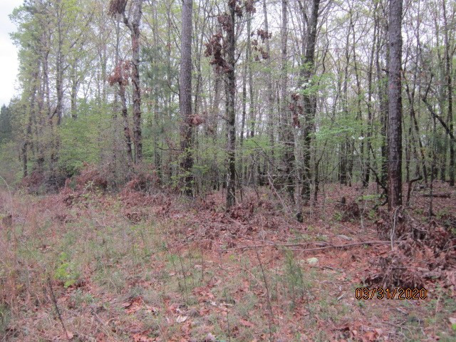 0 Greensboro Road Washington, GA 30673 - Photo 5 of 8