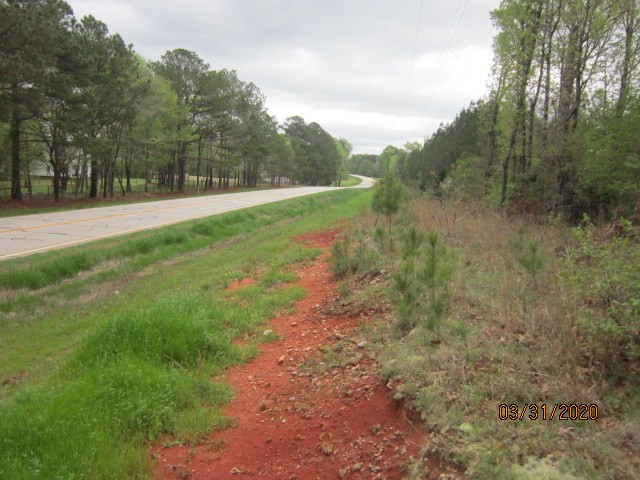 0 Greensboro Road Washington, GA 30673 - Photo 6 of 8