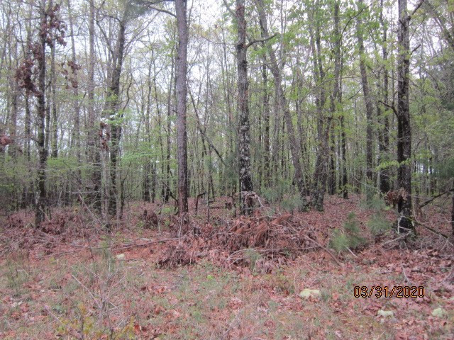 0 Greensboro Road Washington, GA 30673 - Photo 8 of 8