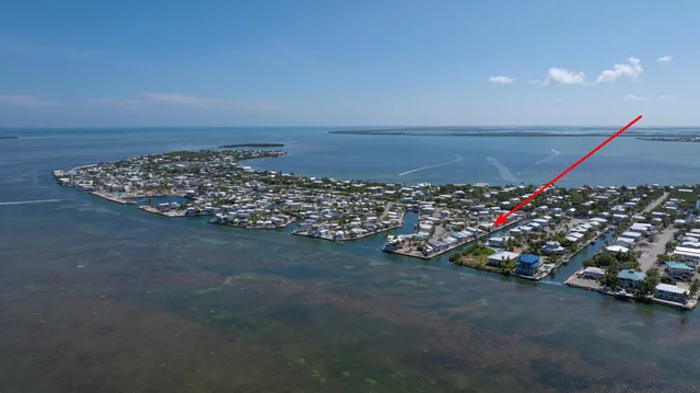 a view of a swimming pool and a chair