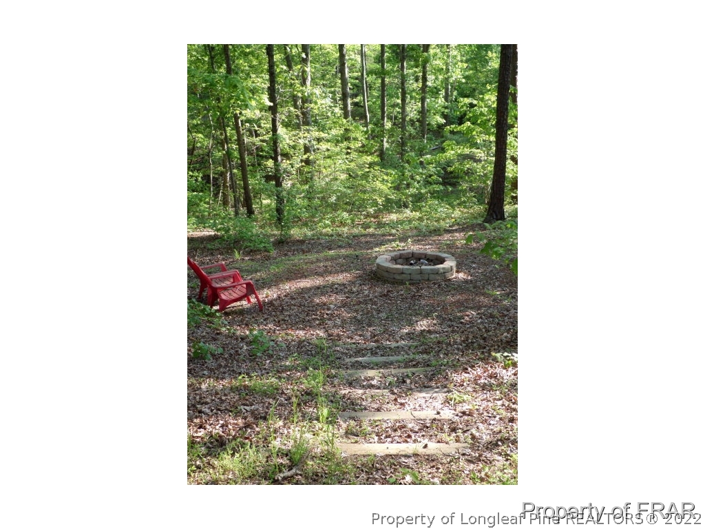 756 Pickard Road Sanford, NC 27330 - Photo 3 of 25 Gallery Image 3