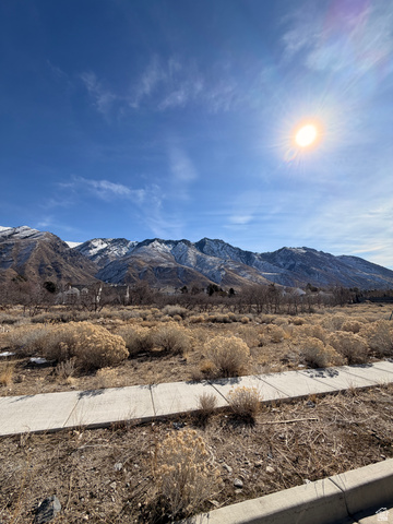 1664 North Dean Court, Unit 5 Alpine, UT 84004 - Photo 9 of 18