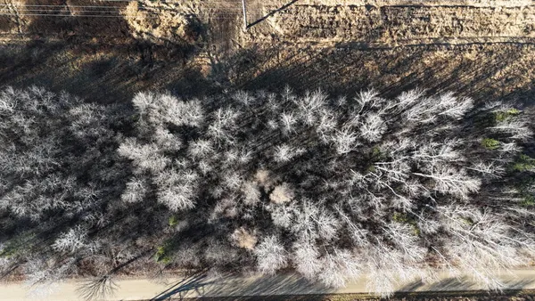 $19,900 | Parcel B Parcel B Parameter Road, Deer River, MN 56636