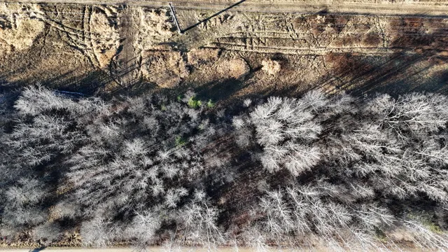 $19,900 | Parcel B Parcel B Parameter Road, Deer River, MN 56636