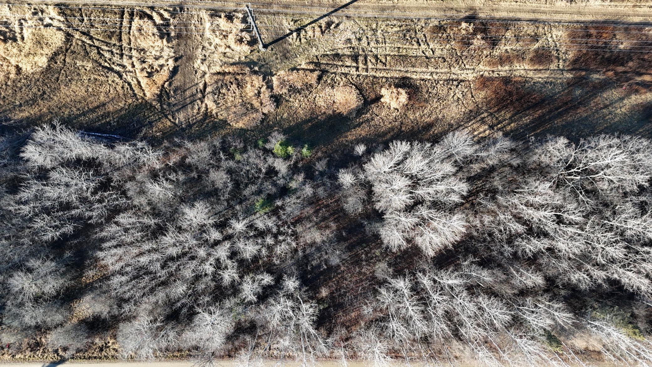 Parcel B Parcel B Parameter Road Deer River, MN 56636 - Photo 2 of 9