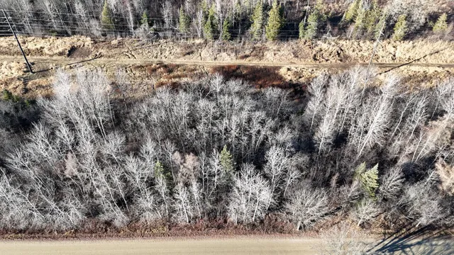 $19,900 | Parcel B Parcel B Parameter Road, Deer River, MN 56636