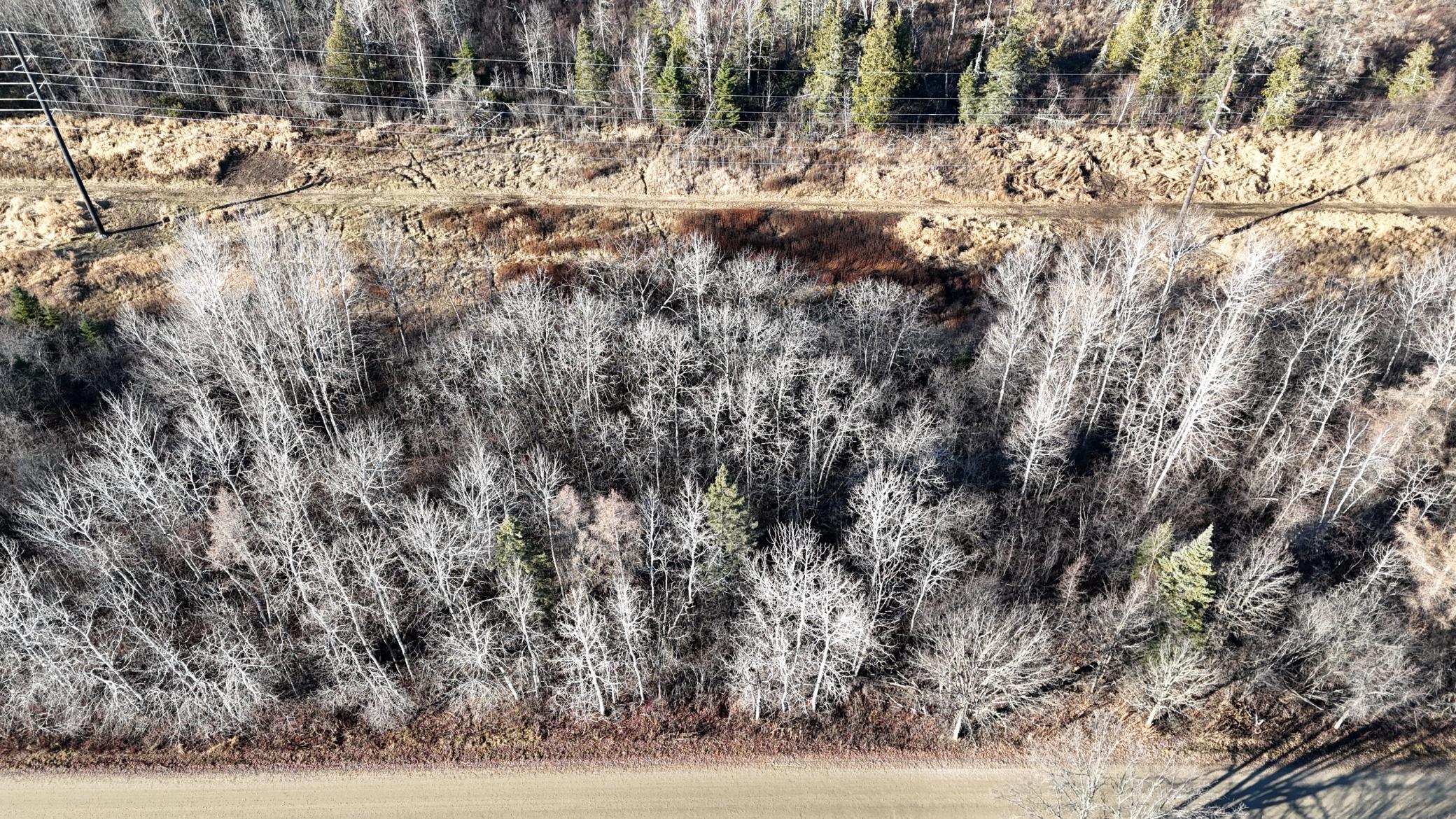 Parcel B Parcel B Parameter Road Deer River, MN 56636 - Photo 3 of 9