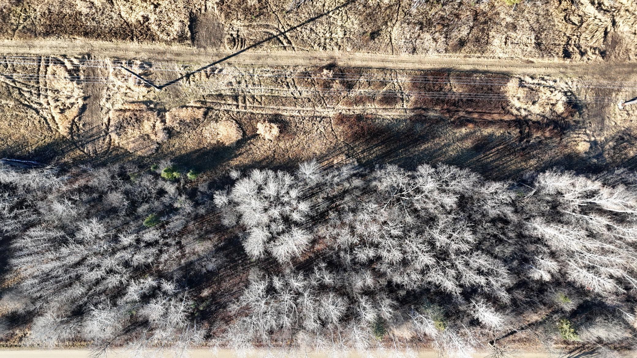 Parcel B Parcel B Parameter Road Deer River, MN 56636 - Photo 4 of 9