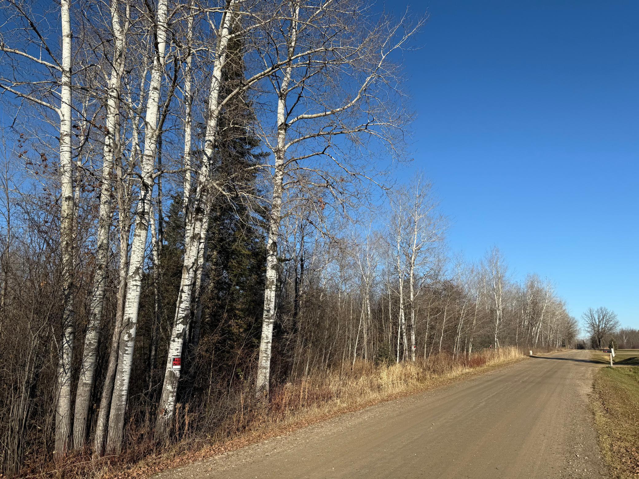 Parcel B Parcel B Parameter Road Deer River, MN 56636 - Photo 5 of 9