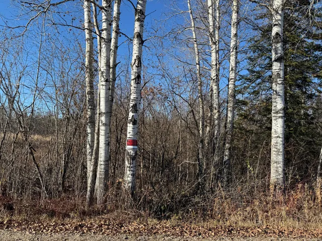 $19,900 | Parcel B Parcel B Parameter Road, Deer River, MN 56636