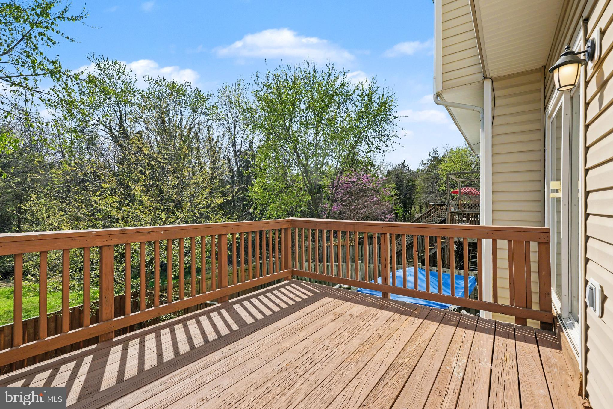 359 Snyder Lane Culpeper, VA 22701 - Photo 12 of 34 Large Back Deck
