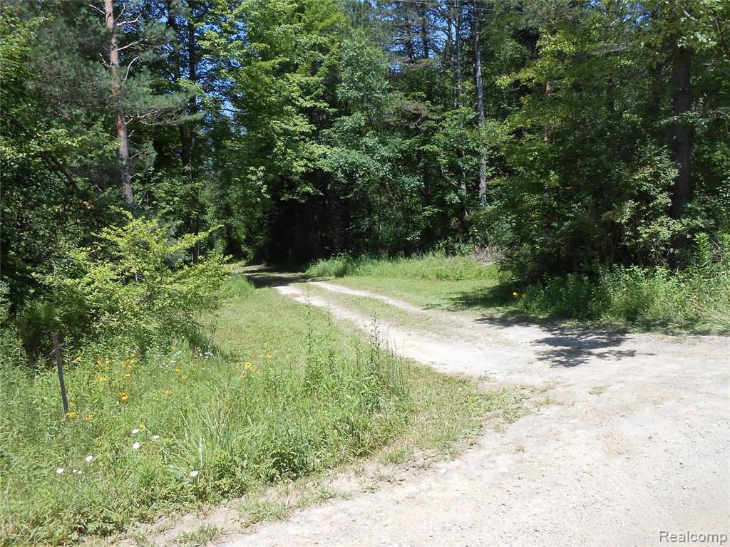 0 Snover Road Sandusky, MI 48471 - Photo 2 of 10