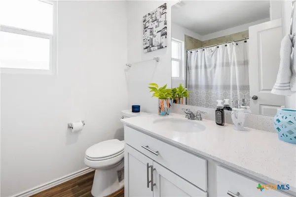 a bathroom with a sink a mirror and a toilet