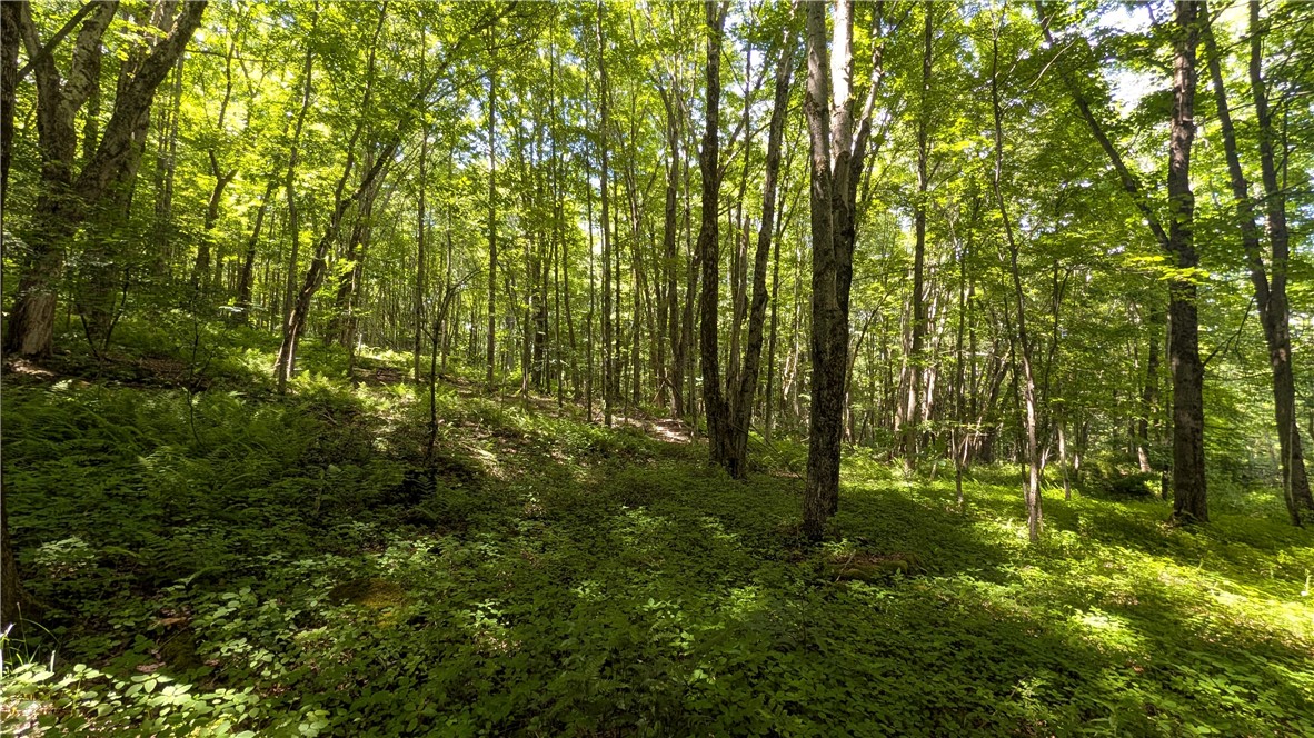 201 Sunrise Mountain Road Kortright, NY 13739 - Photo 40 of 49