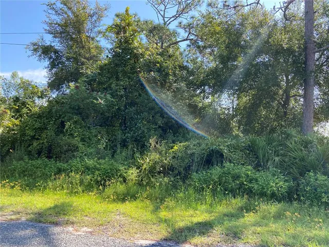 $15,000 | Illinois Avenue, Lake Helen, FL 32744