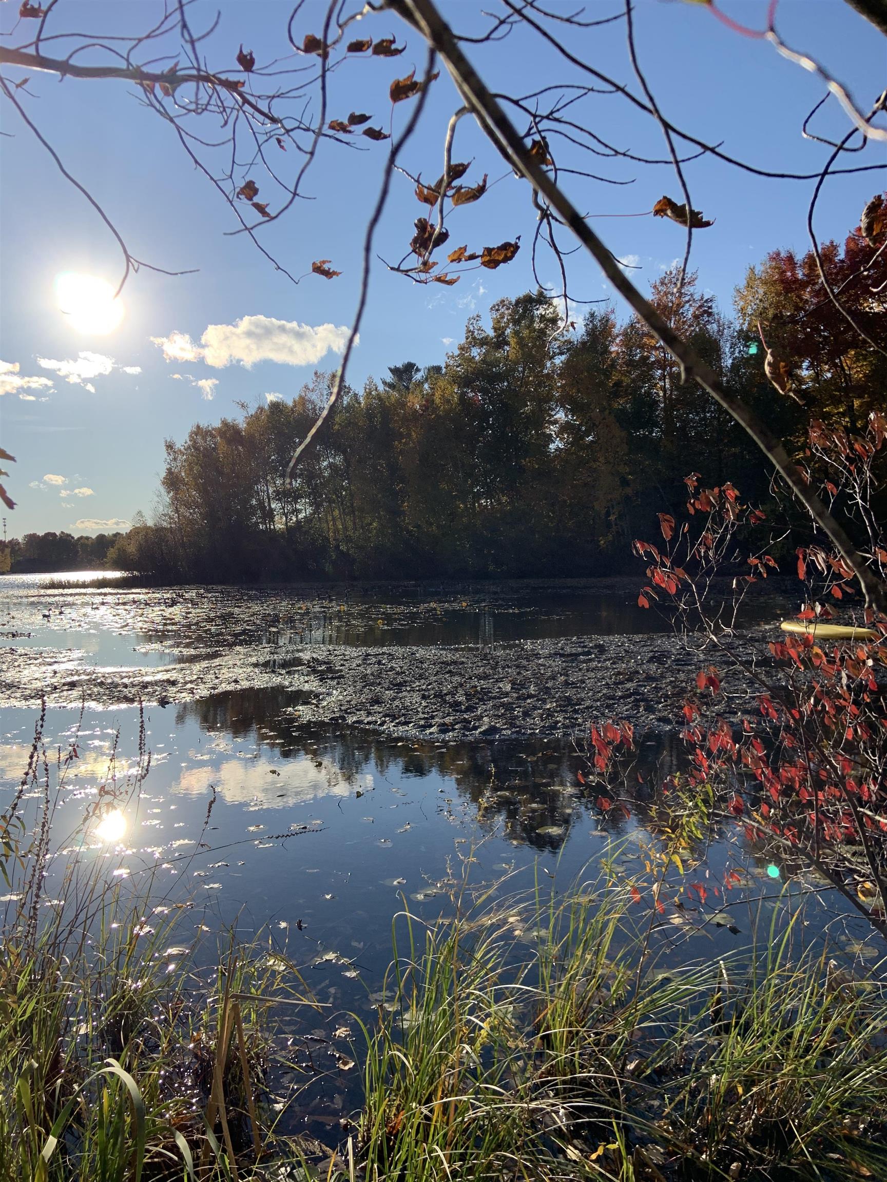 0 North East Silver Lake Road Traverse City, MI 49685 - Photo 23 of 27