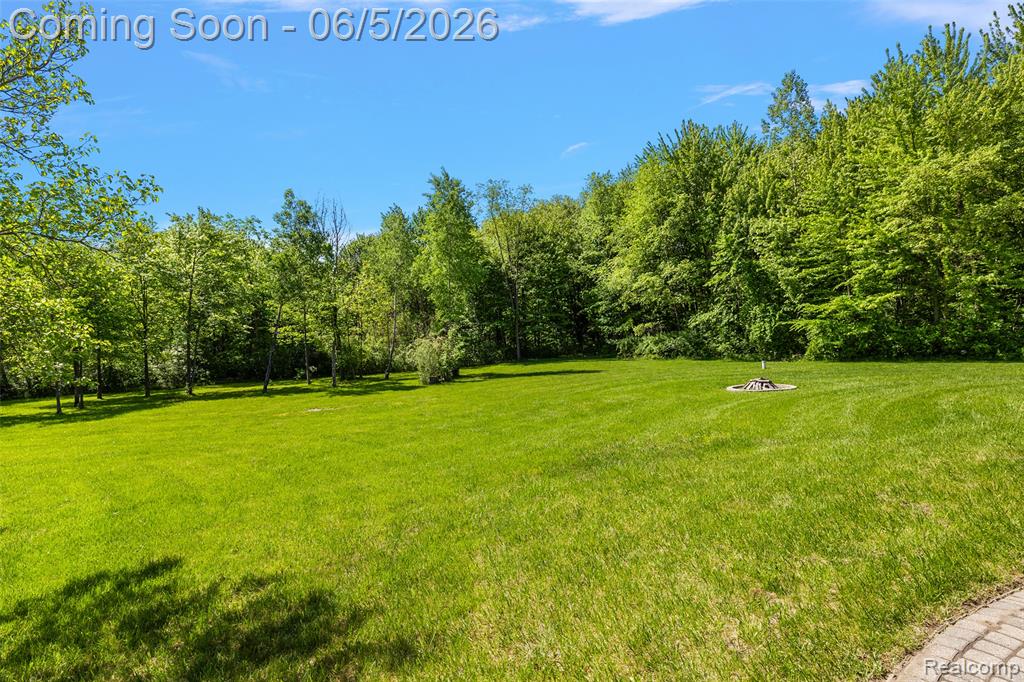 62502 Wayfaring Road Ray, MI 48096 - Photo 8 of 93