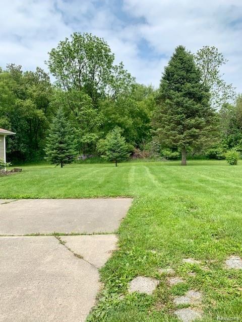 5254 Van Slyke Road Flint, MI 48507 - Photo 43 of 44 Side yard from front into 2 acres